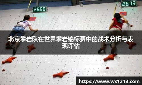 北京攀岩队在世界攀岩锦标赛中的战术分析与表现评估